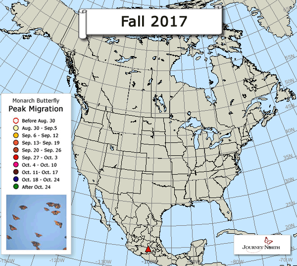Map of peak monarch butterfly migration for Fall 2017