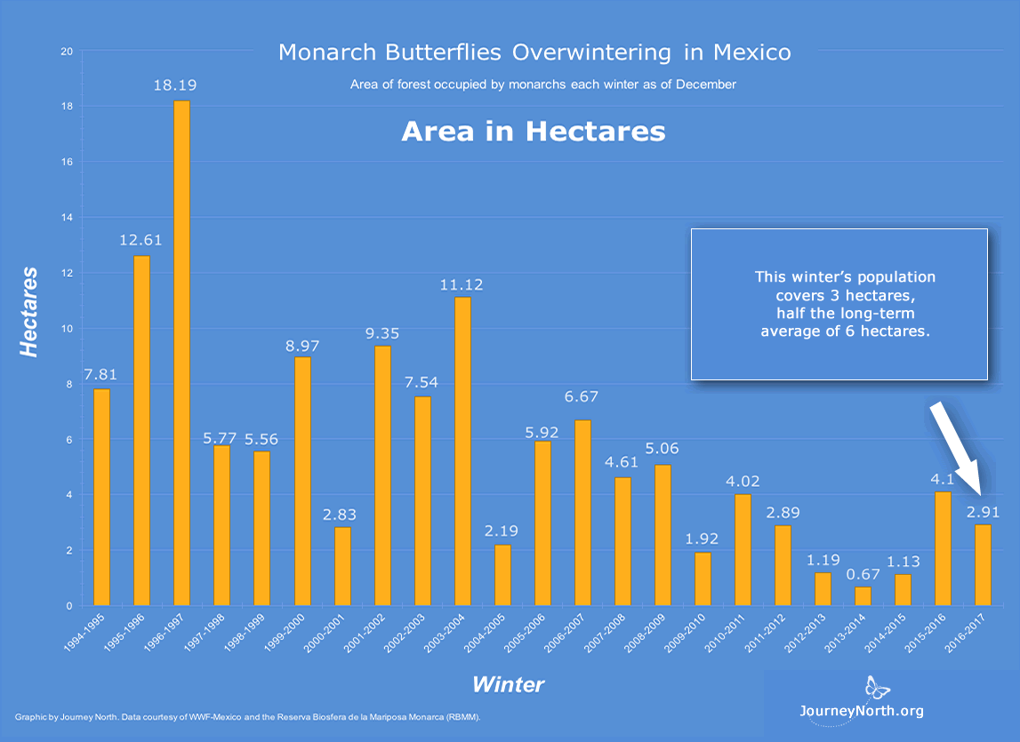 Graph: Monarch Butterfly Winter Population Size