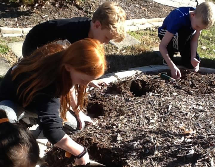 Digging in the soil