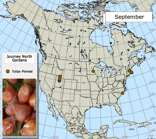 Tulip Fall 2017 Map