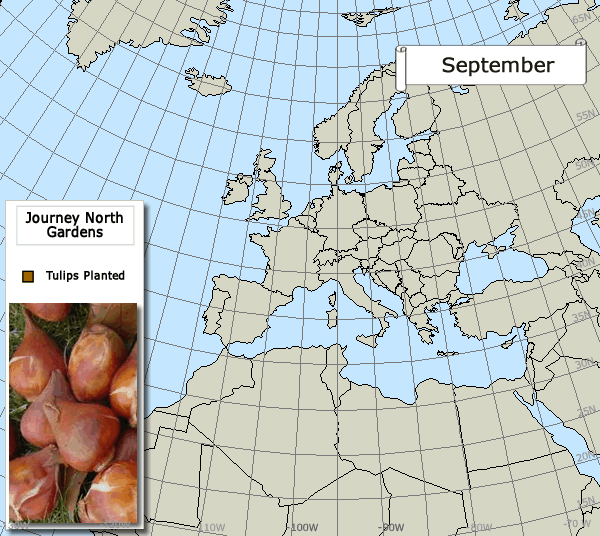 Tulip fall map for Eurasia