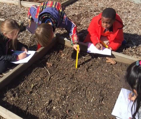 Measuring and mapping the tulip garden