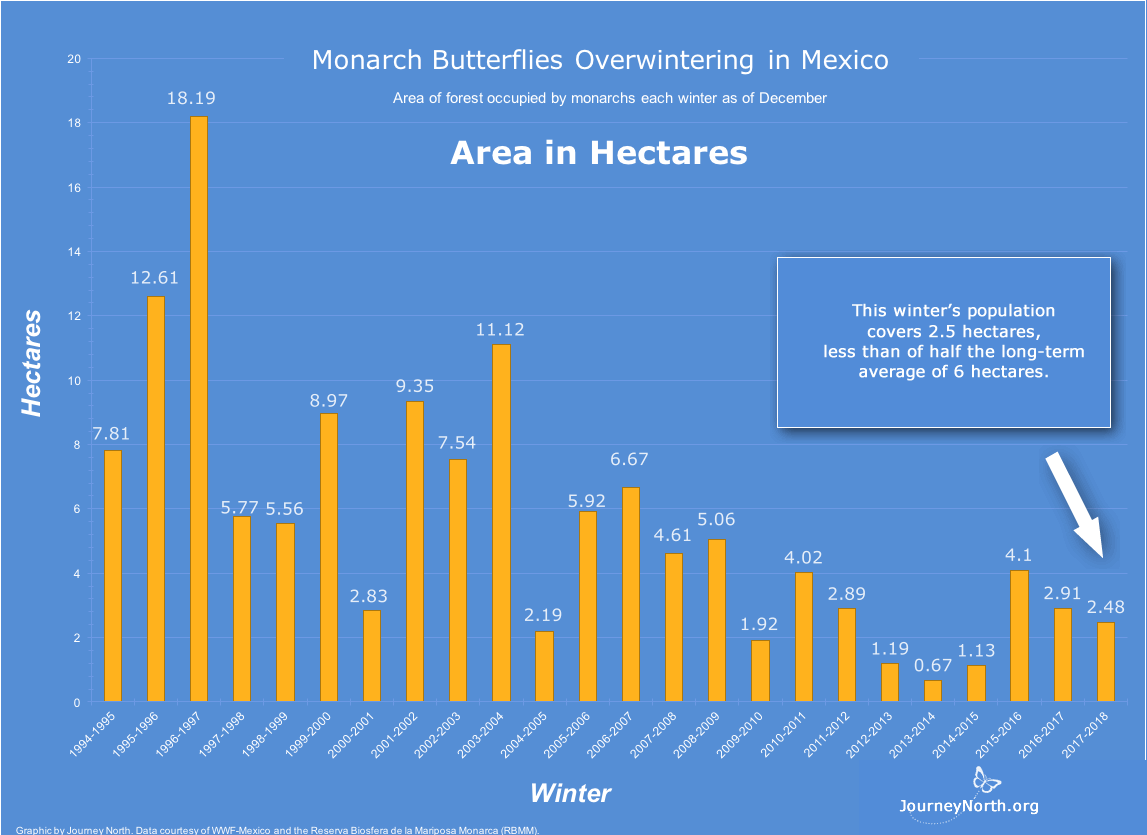 Graph: Monarch Butterfly Winter Population Size