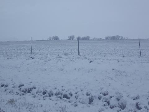 Polson, Montana by LouAnne Krantz