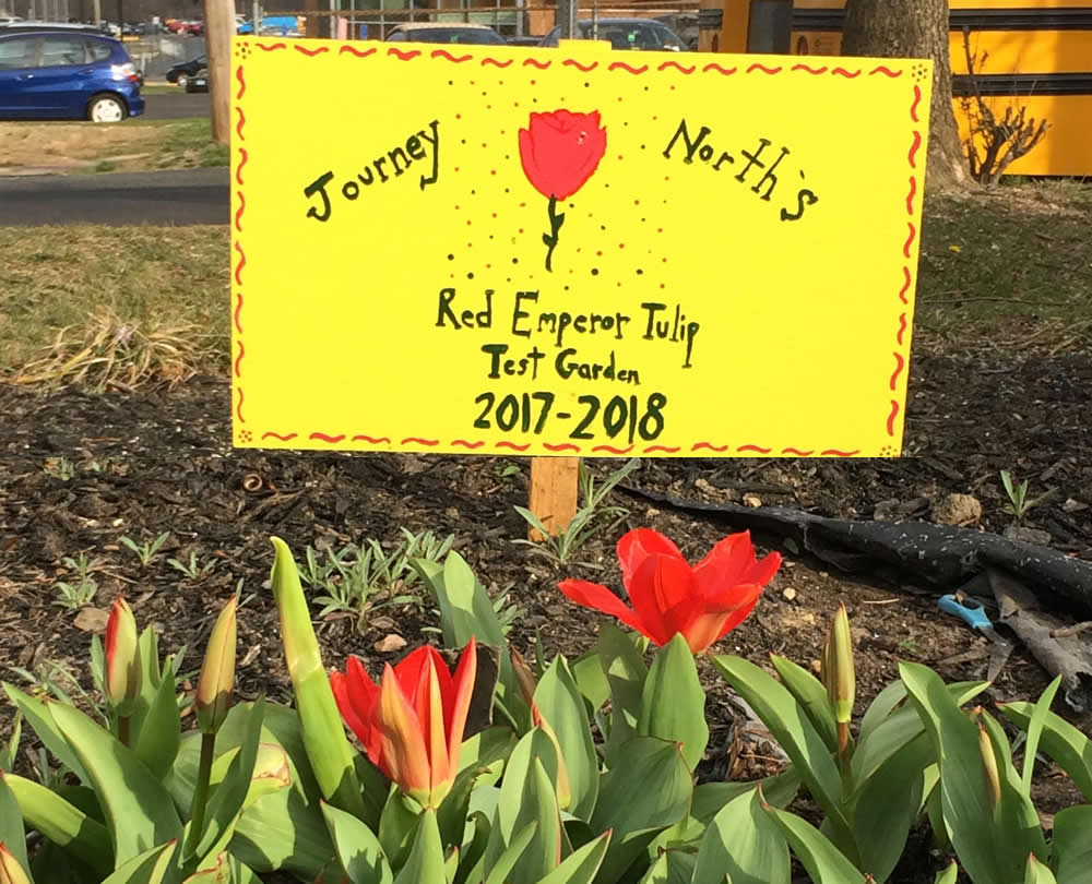 Pretty yellow garden sign