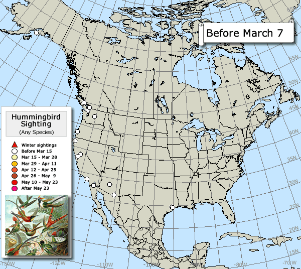 Other hummingbirds sightings map