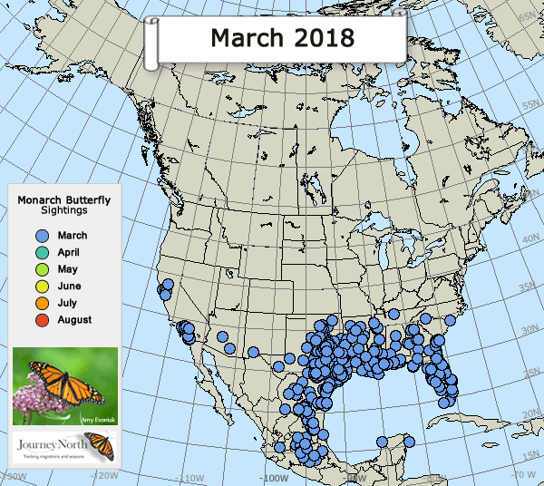 Map of Monarch Butterfly Sightings Breeding Season 2018