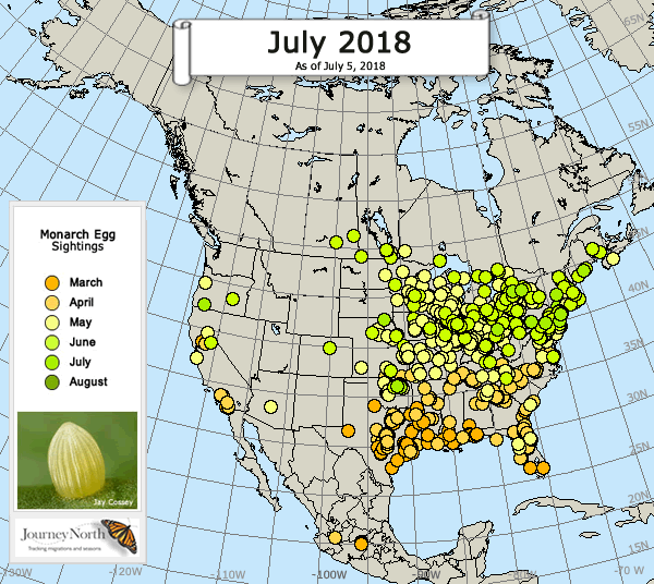 Map of Monarch Butterfly Egg Sightings Breeding Season 2018