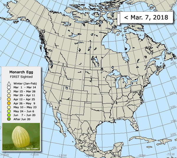 Map of Sightings: Monarch Eggs Spring 2018