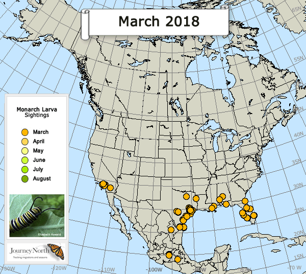 Map of Monarch Butterfly Larvae Sightings Breeding Season 2018