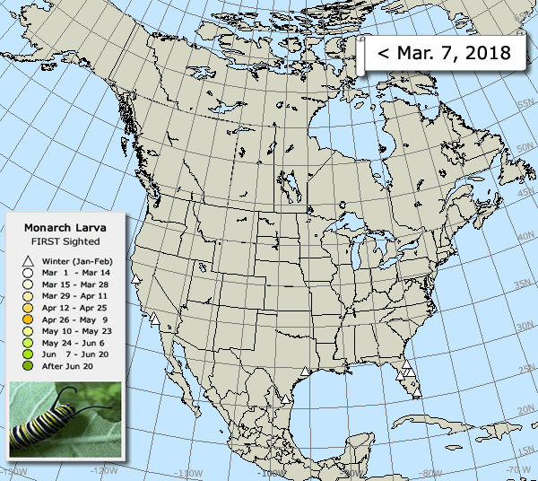 Map of Sightings: Monarch Larvae Spring 2018