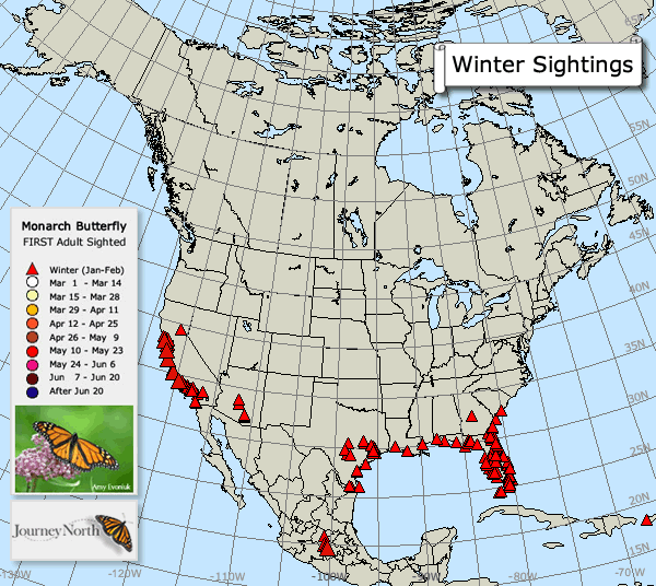 Monarch Butterfly Migration Map Spring 2018