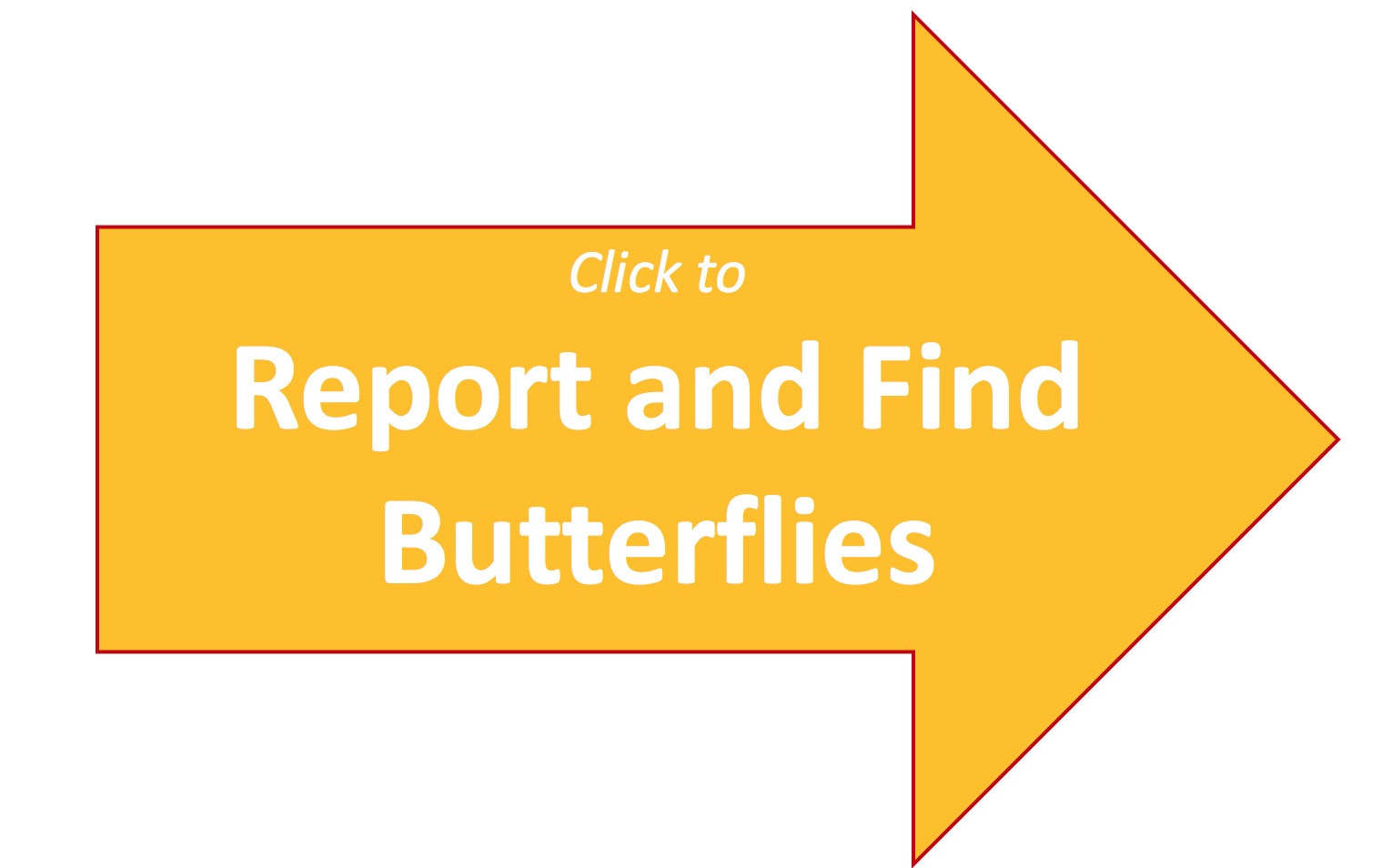 Report and Find Butterflies
