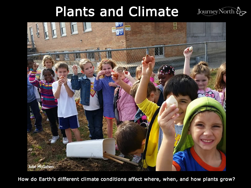 Plants and Climate