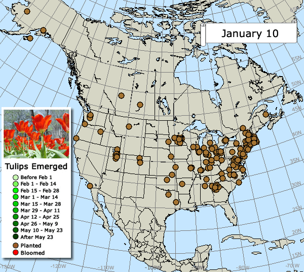 Map of Tulip Test Gardens Spring 2018 in North America