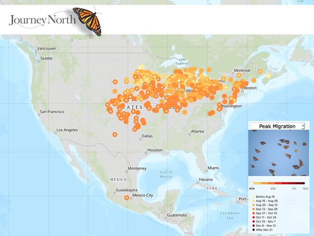 08/23/18: Fall Migration is Underway!