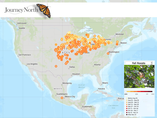 08/23/18: Fall Migration is Underway!