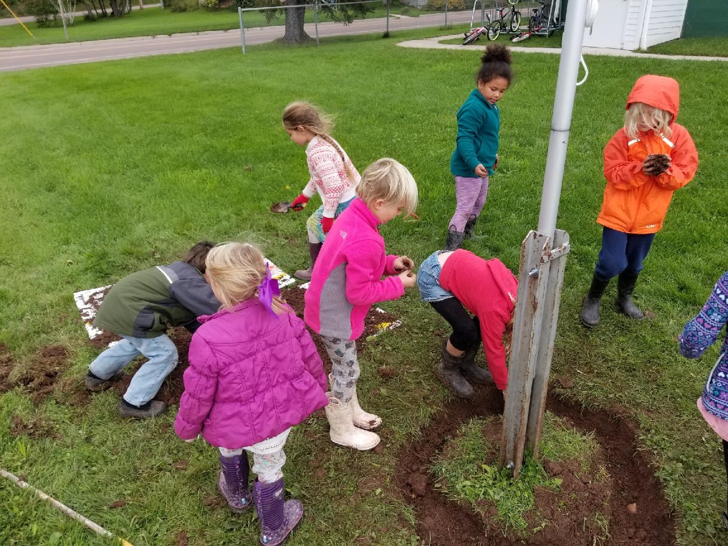 Students Planting Journey North Tulip Garden by Kaite Sweval