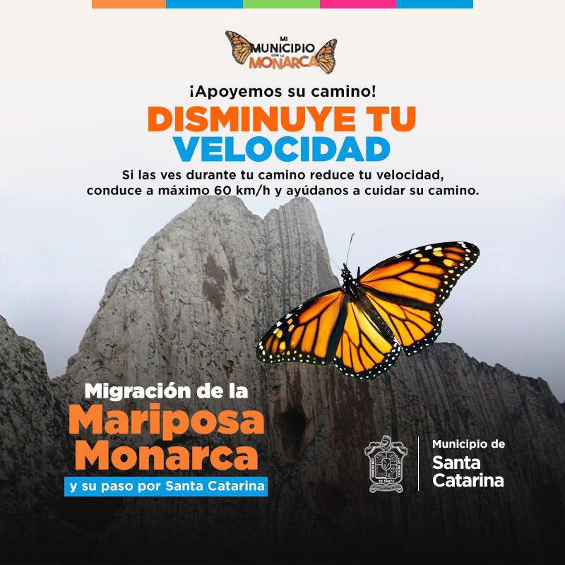 Road Sign in Mexico Slow Down for Monarchs
