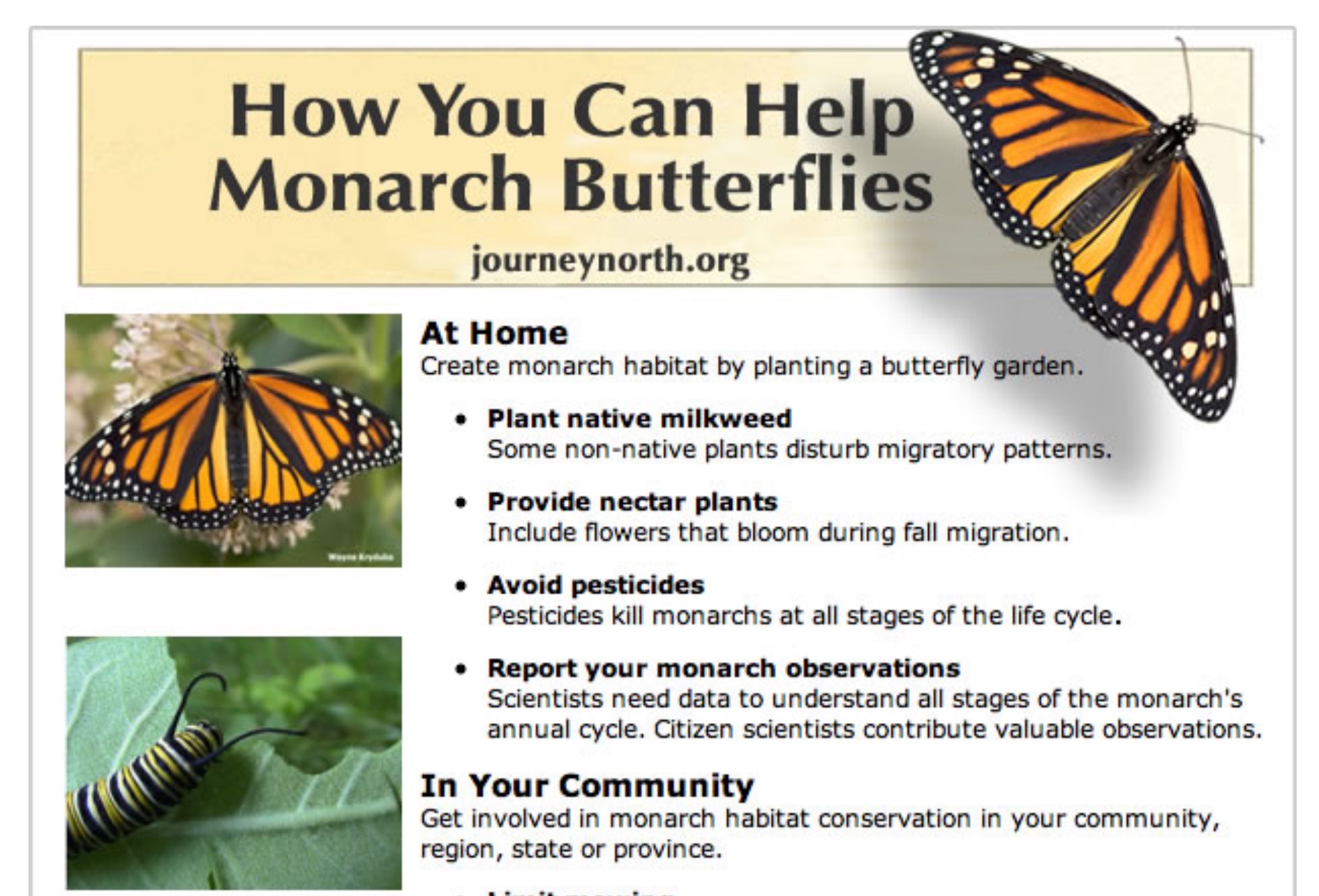 Conserving Monarchs