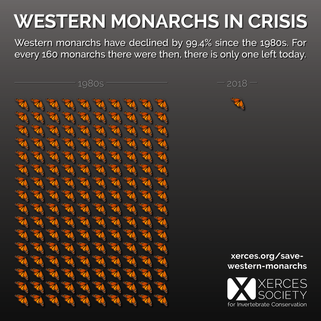 Western Monarchs Hit Record Low