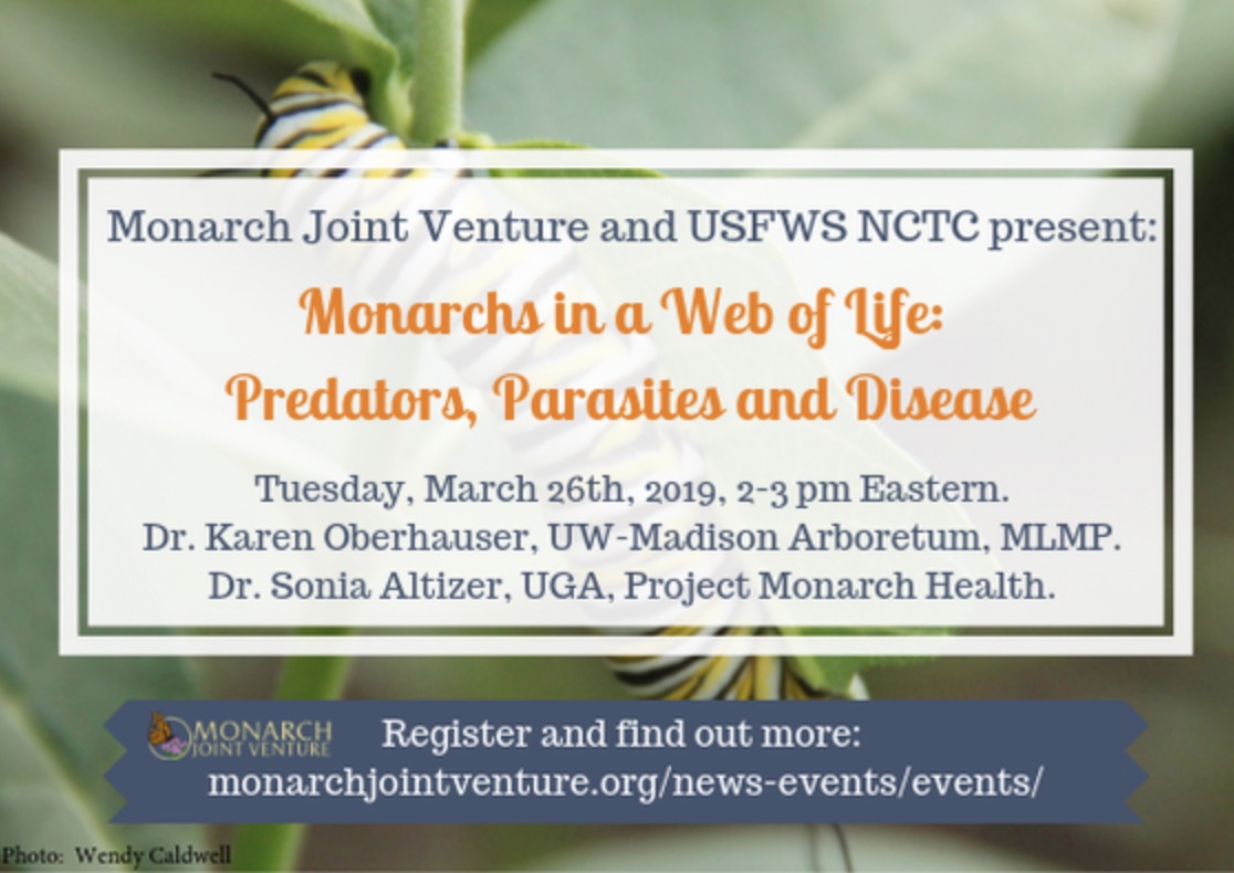 Webinar: Monarchs in a Web of Life