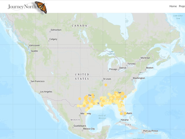  Ruby-throated Hummingbird Migration Map Spring 2019