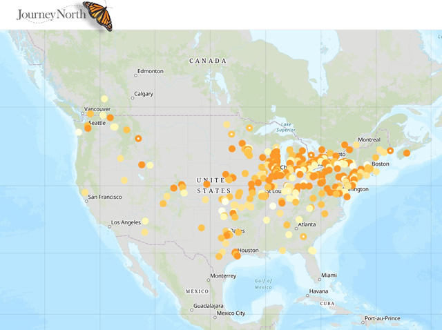 Map: First Robin Seen in Spring 2019