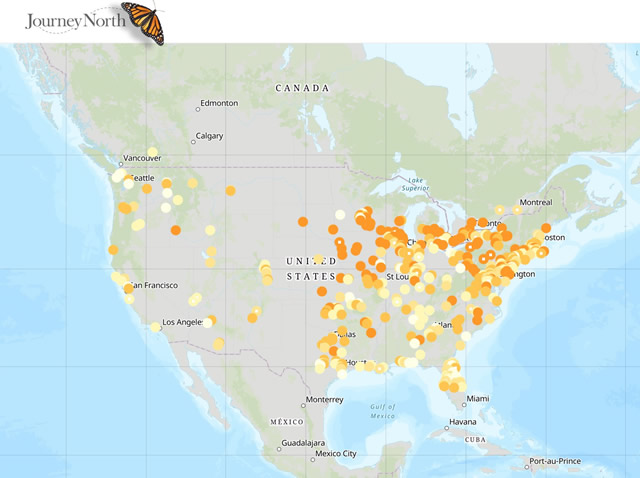 Map: Wave of Robins Seen in Spring 2019