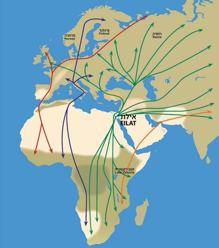 04/03/2019 Map of European, Asian and Middle Eastern Migration Routes
