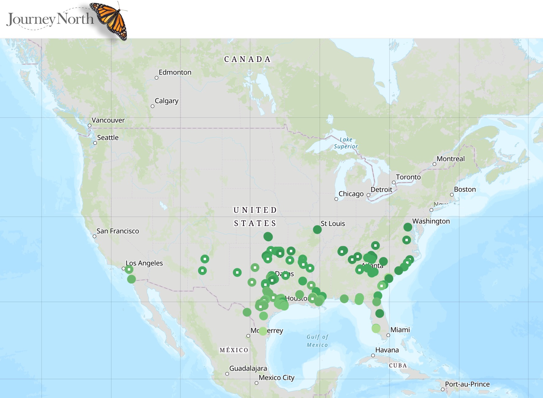 Egg Sightings