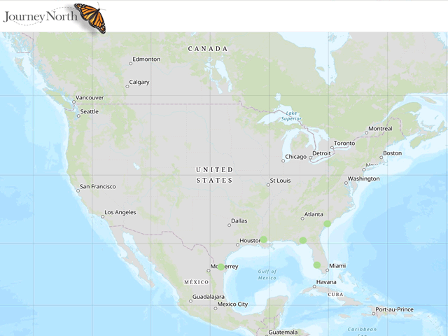 Map of Sightings: First Monarch Eggs Spring 2019