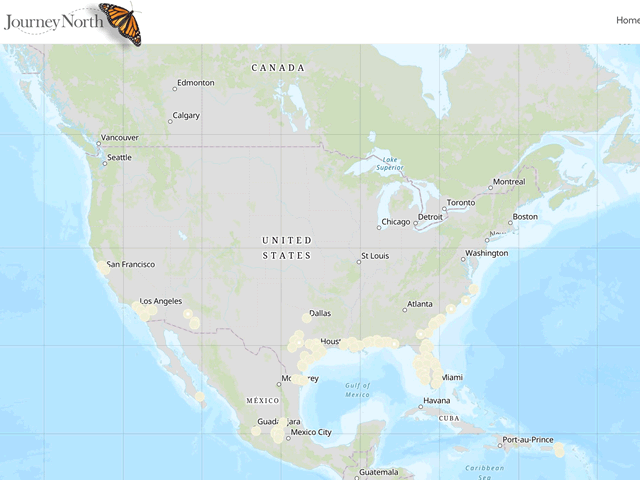 Monarch Butterfly Migration Map: First Sightings Spring 2019