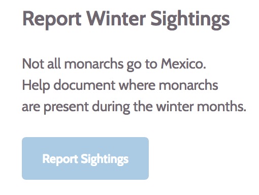 Report Your Monarch Butterfly Sightings