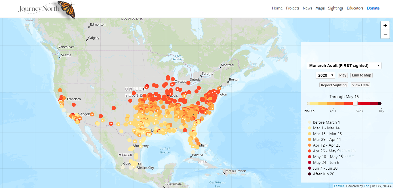 Journey North migration map.