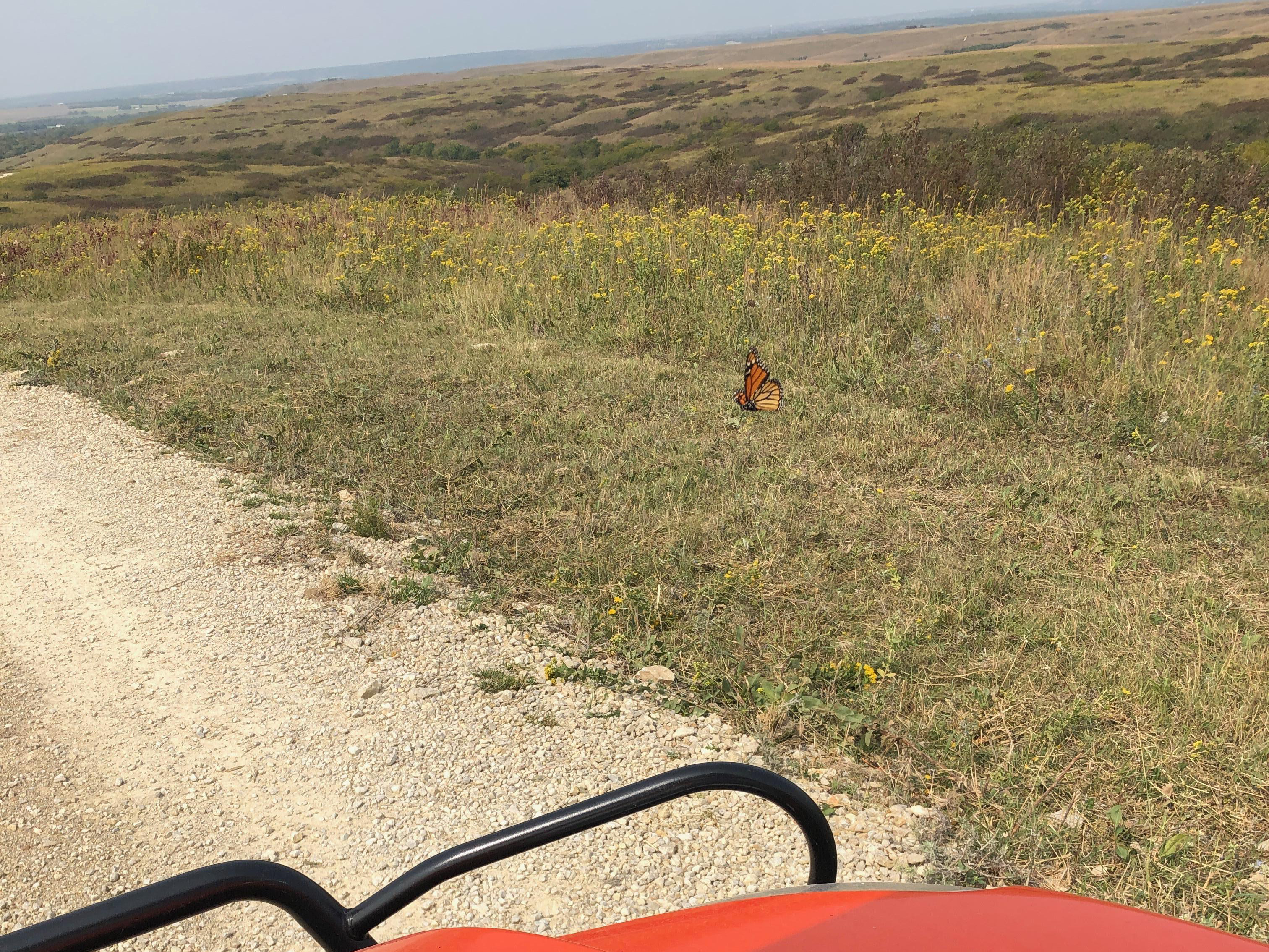 Counting at Konza Prairie Biological Station