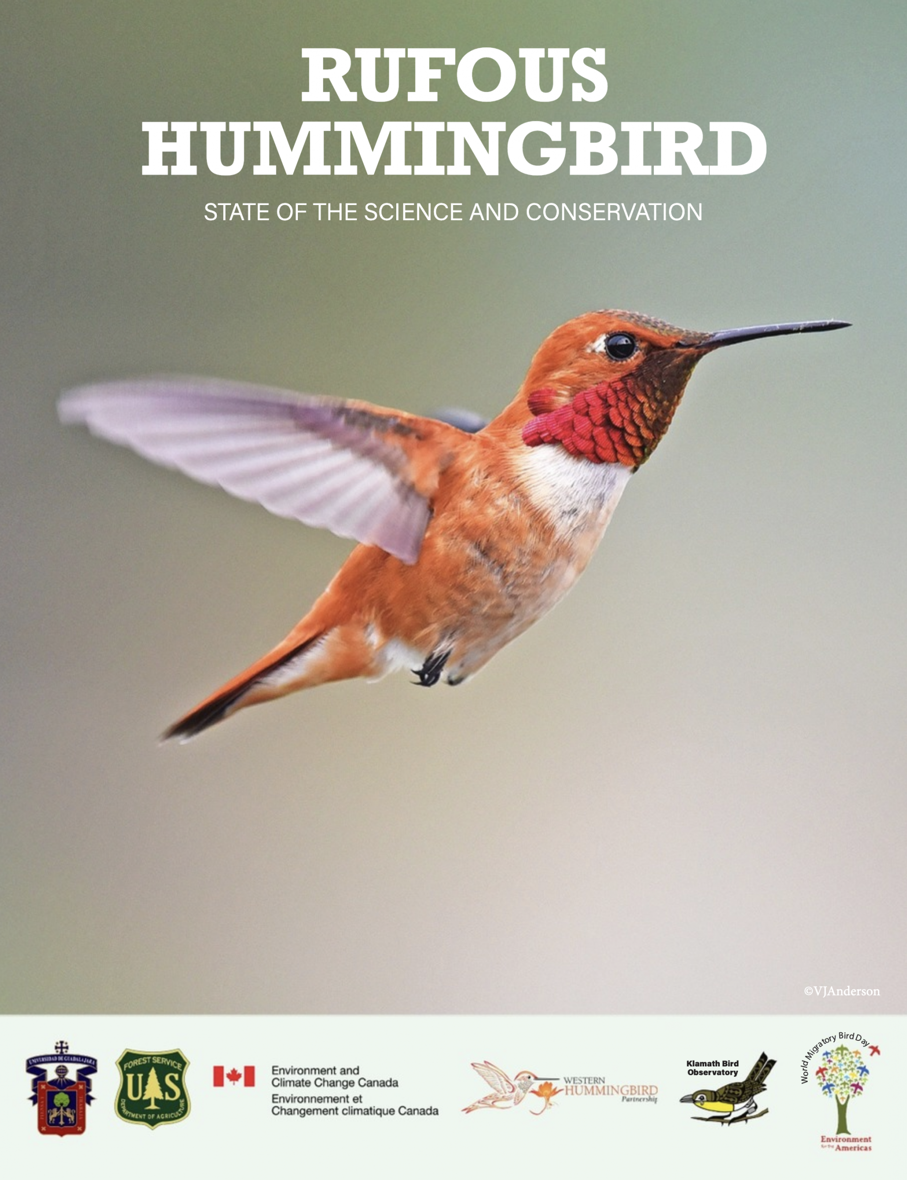 Western Hummingbird Partnership