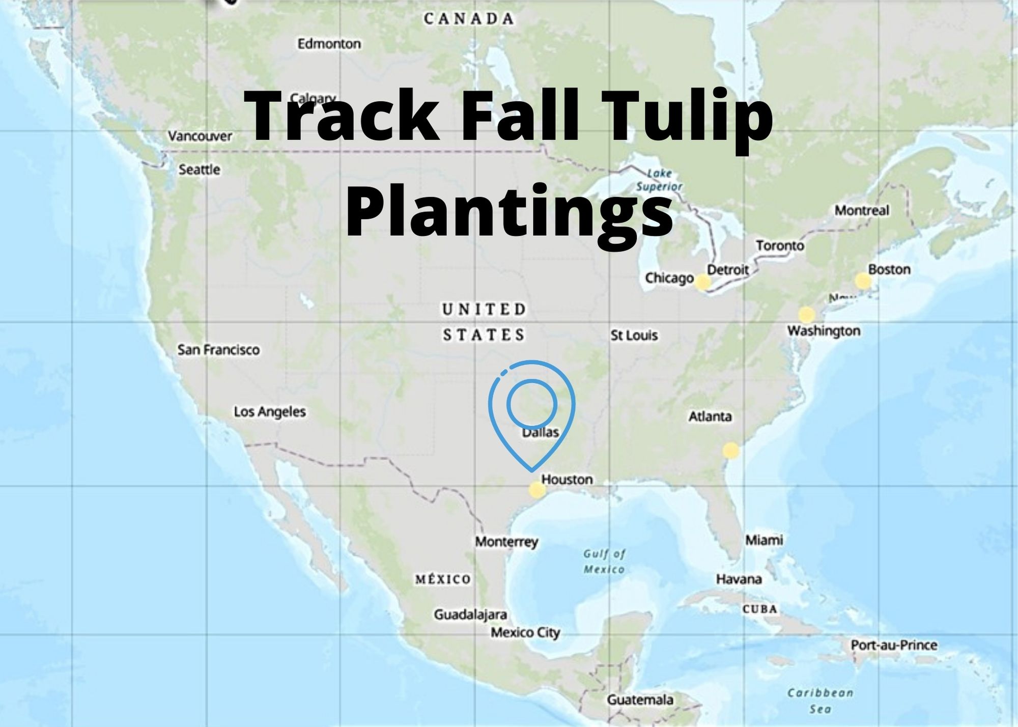 track fall tulip plantings