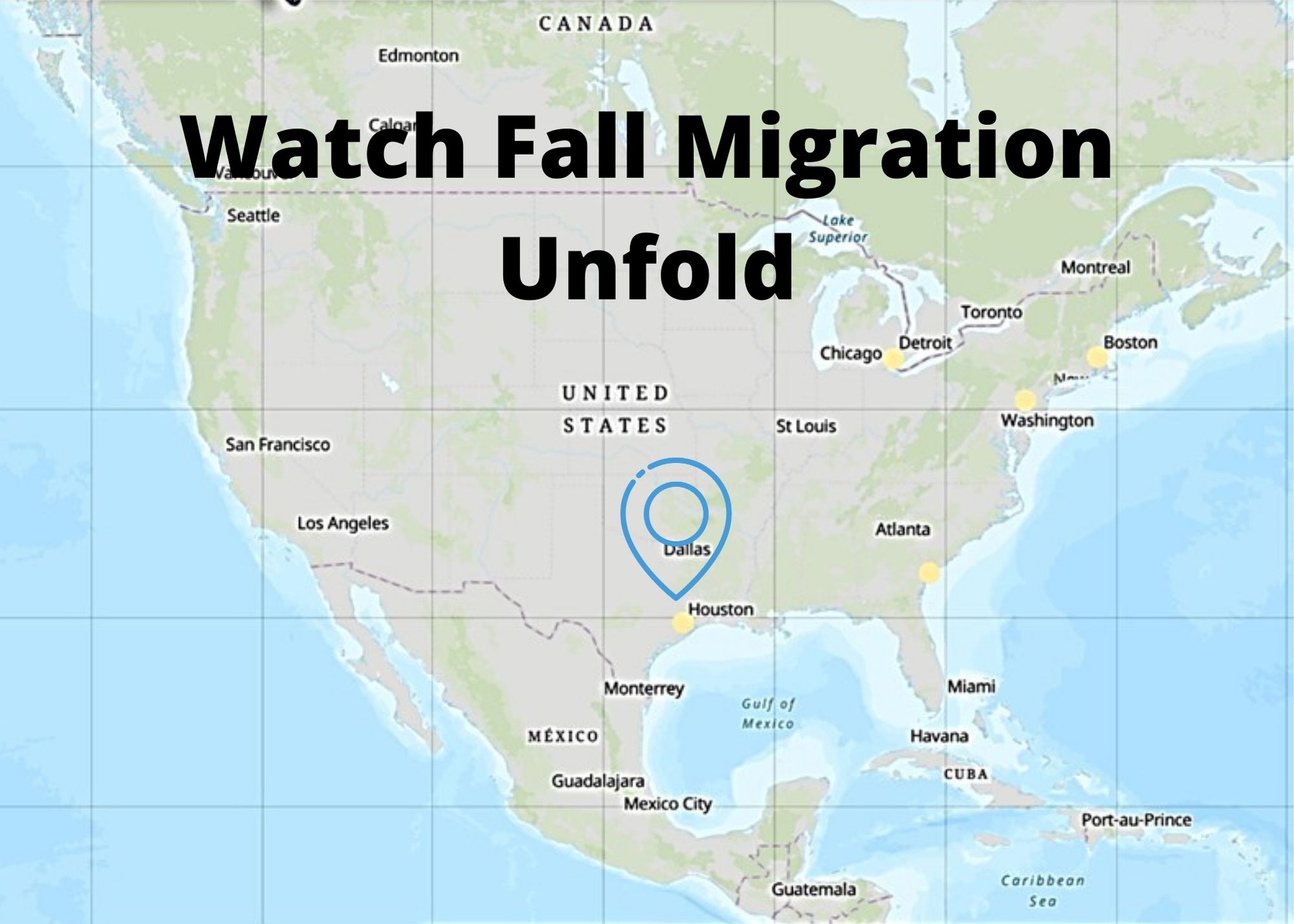 American Robin Migration Map