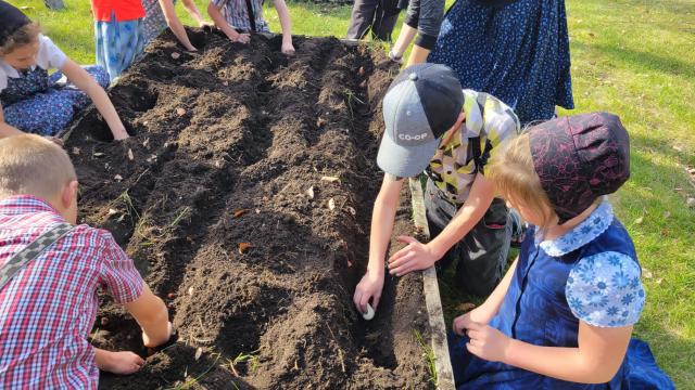 students planting tulips 