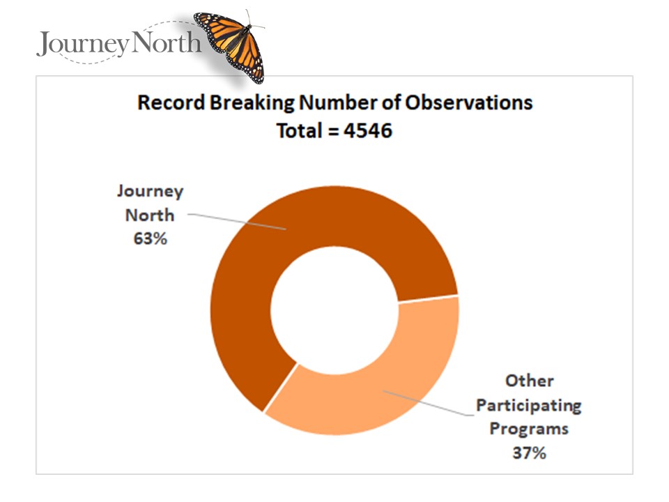 percentage of observations contributed by Journey North