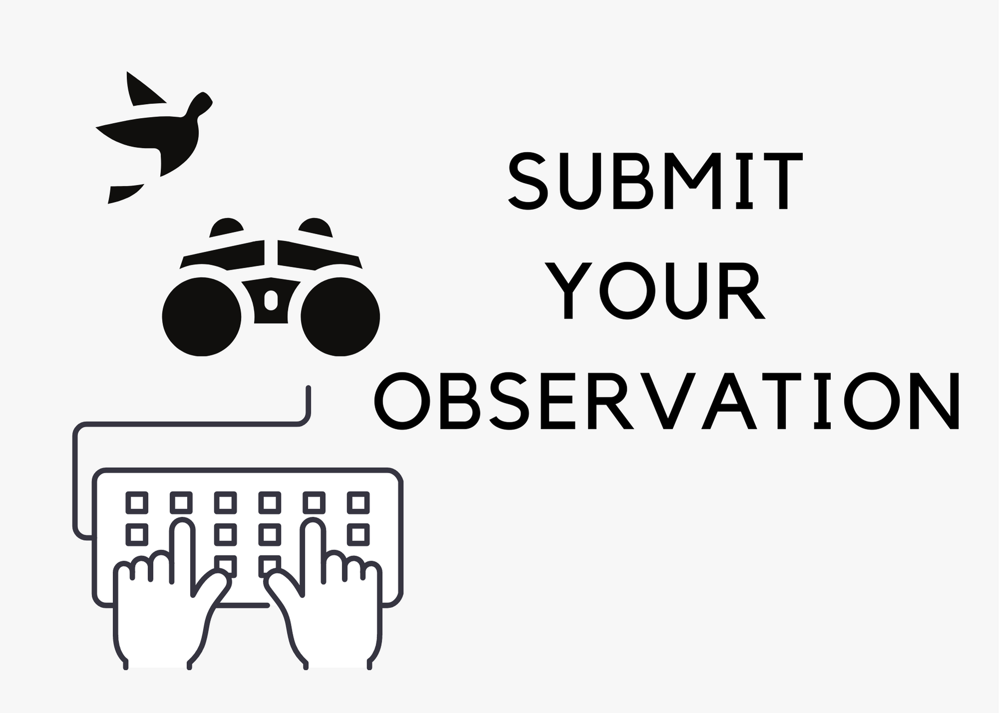 enter your observational report in out database