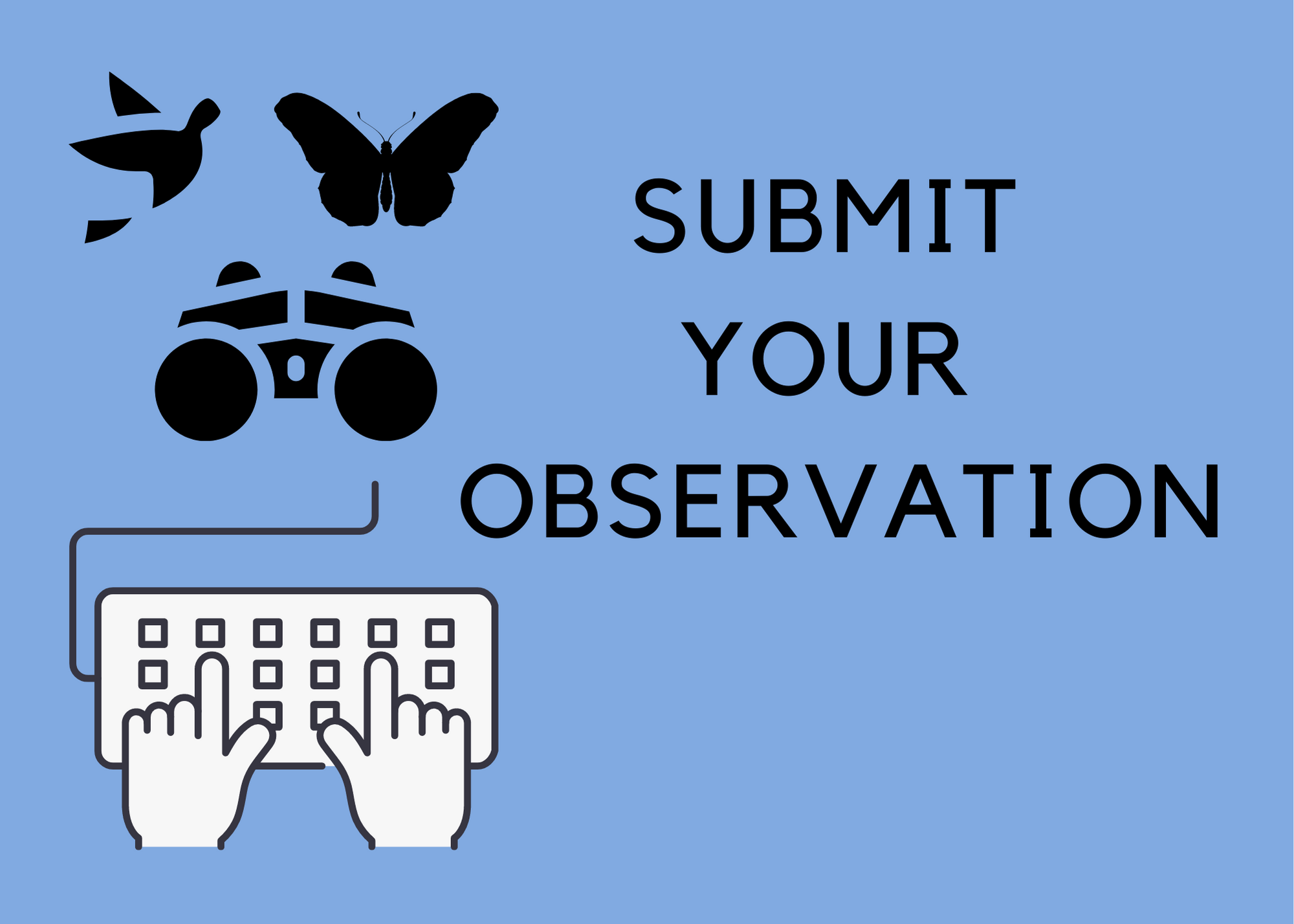 submit your observation