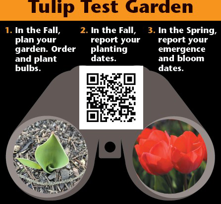 Tulip Test Garden Sign