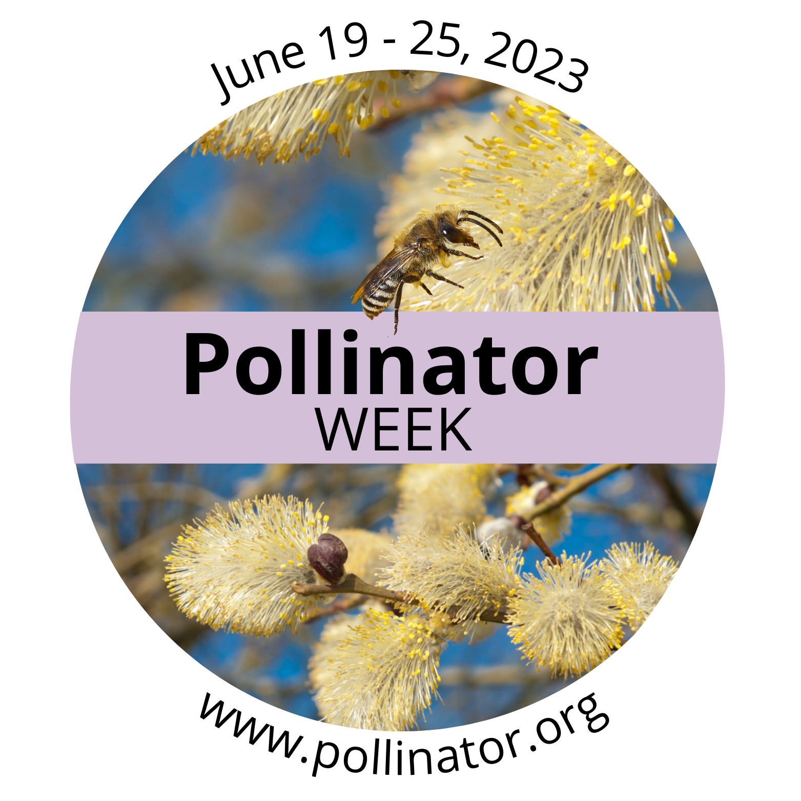 Pollinator Week 2023 logo
