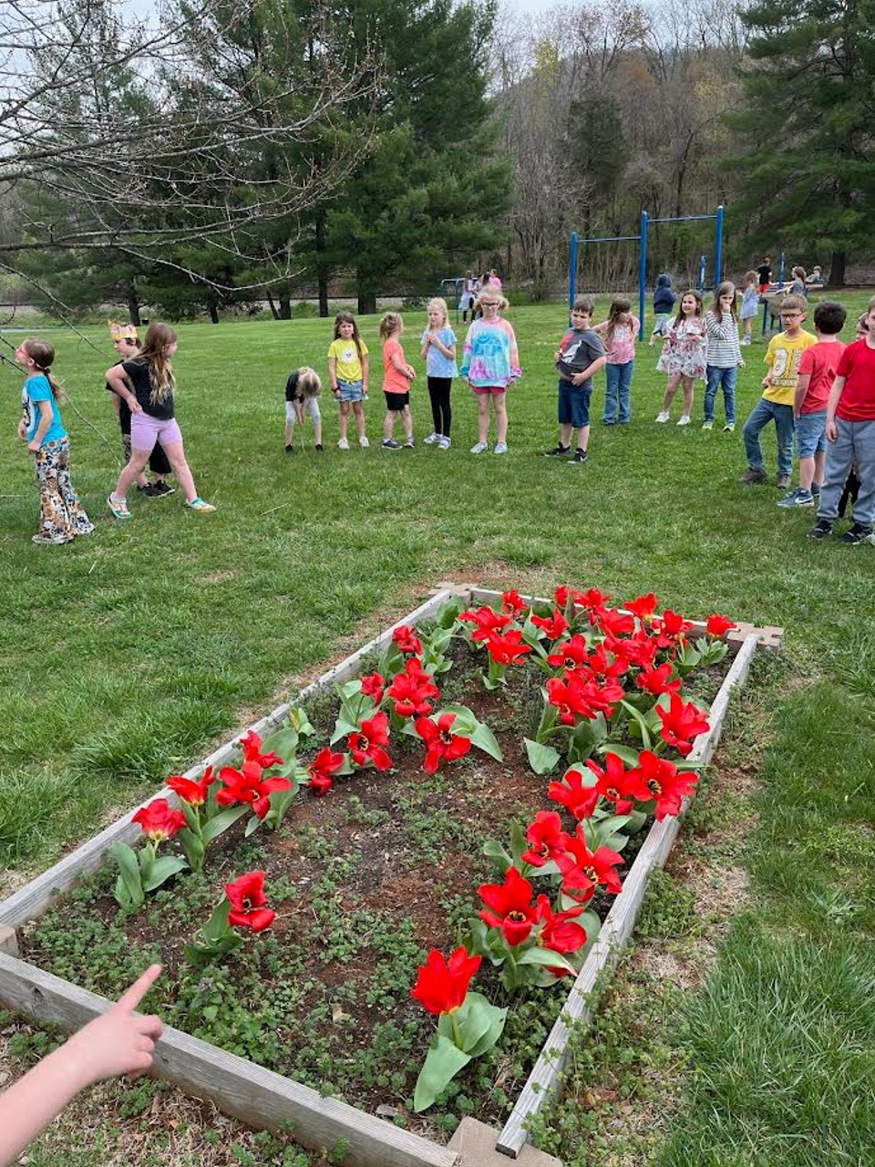 A flower garden of red tulips with children looking on