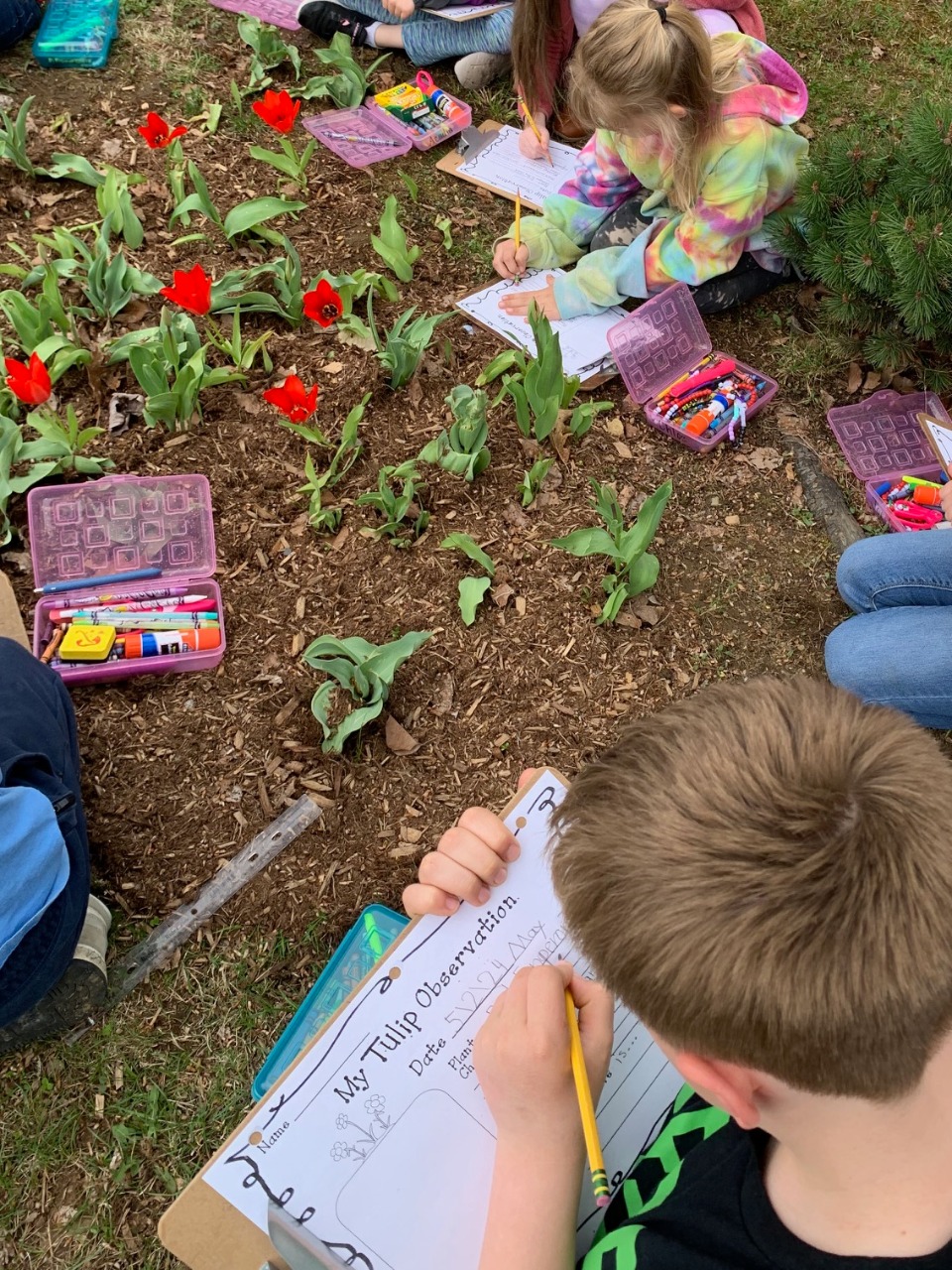 A group of second graders writes on paper sitting around group of blooming tulips