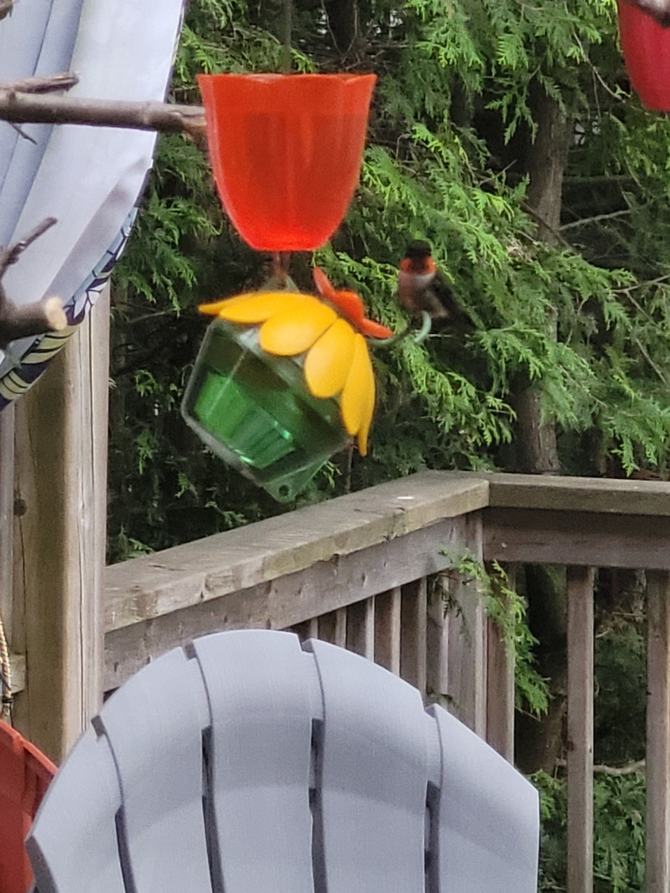 A male hummingbird on a feeder hanging on a porch, with a chair and deck in the background