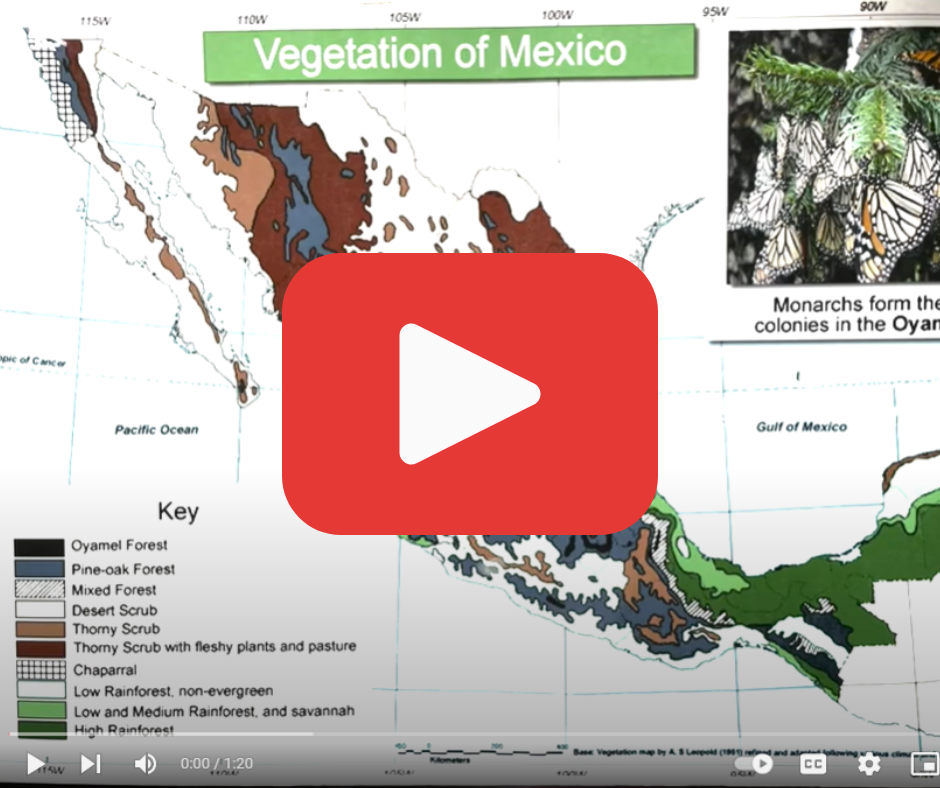 A YouTube video from Estela Romero awaiting monarchs' arrival to their winter range in Mexico