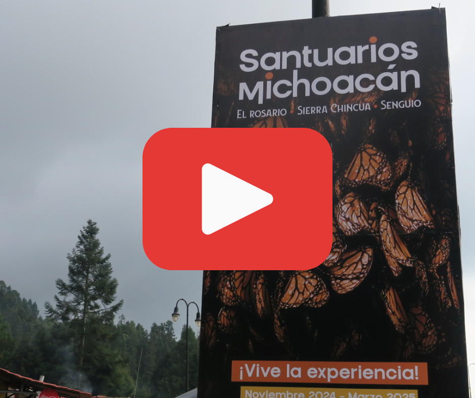 A photo of a sign at the Monarch Biosphere Reserve with a red play button to watch a YouTube video